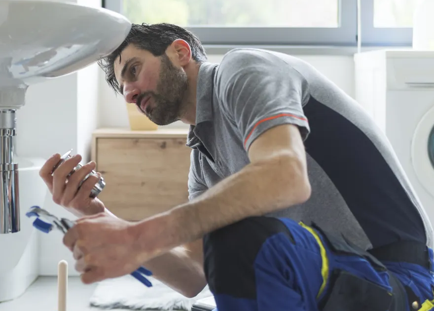 Serviço profissional